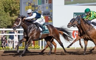 Билли Уэстер выиграл главный приз ирландского дня скачек в Дубае