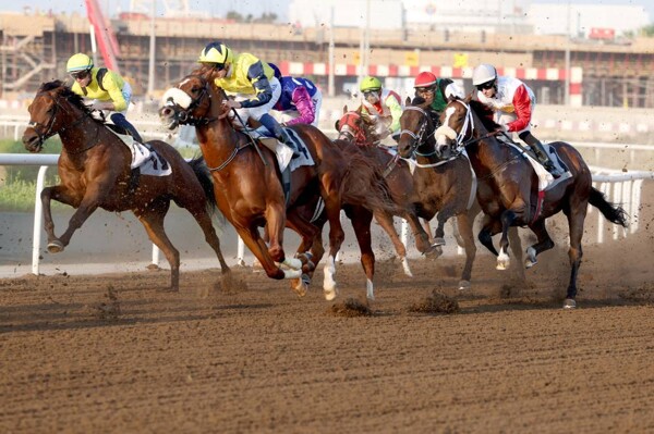Дубай: стартует заэтап на Кубок «Инициативы Зайда и Рашида»