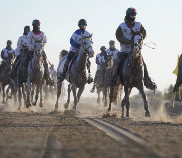 迪拜举办第18届王储节阿尔亚马马母马杯