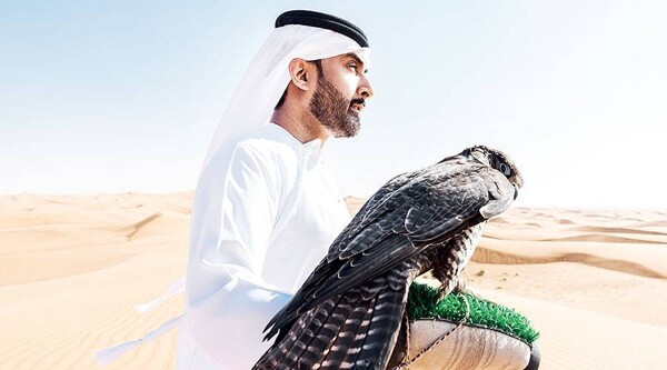 Dubai's Quiet Corner