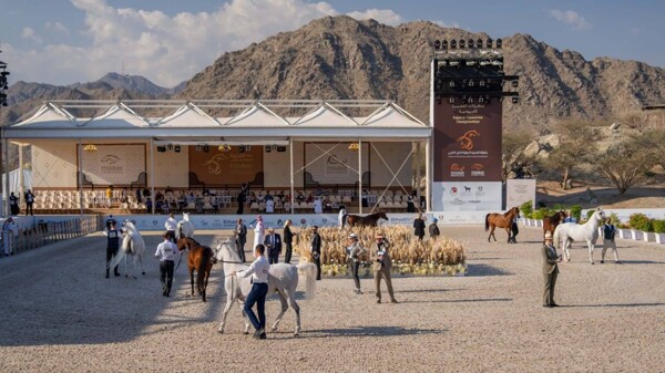Фудайраа провела успешный конноспортивный фестиваль