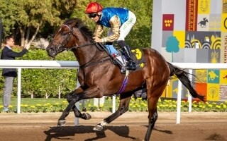 Two Horses Win at Jebel Ali Racecourse