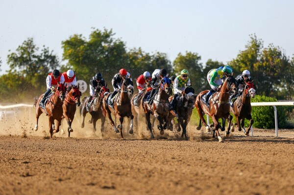 Equestrian Event Organized by Sharjah Club