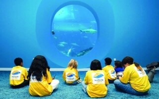 Sea World Абу-Даби будет проводить летний лагерь для детей