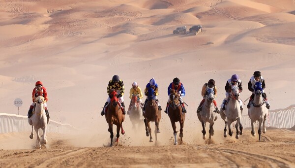 The Arab Purebred Horse Race in Liwa