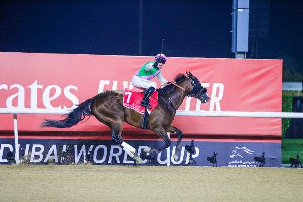 Dubai is Preparing to Host the 29th Dubai World Cup