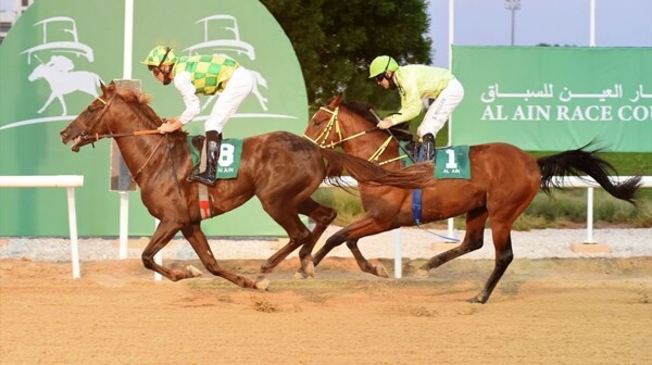 Horse Racing at Al Ain Equestrian Club