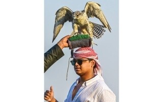 Falconry Heritage: A Timeless Connection