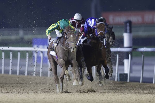 Dubai Racing Club hosts fourth leg of carnival