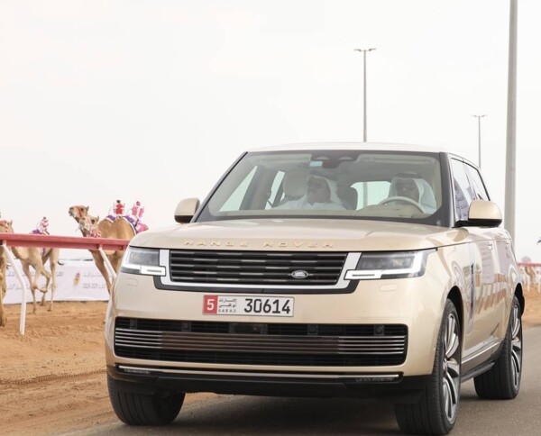 阿布扎比举行骆驼比赛