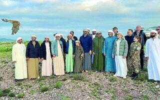 Выпуск соколов в программе выпуска соколов шейха Зайда