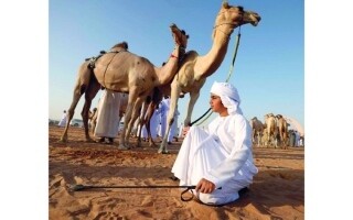 UNESCO Recognizes Camel Herding Tradition