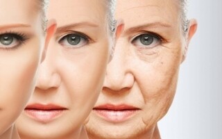 New Anti-Aging Ingredient Discovered: Onion