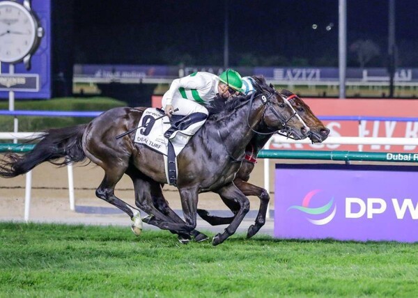 DP World Sponsors Dubai Turf Group 1 Race with $5M Prize