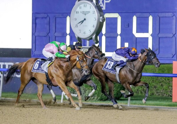 На ипподроме Майдан пройдут скачки с центральным заездом Аль-Кураид