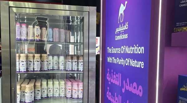 Camel Milk 'Kamilichis' Expands to 27 Countries