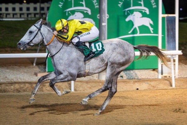 Al Ain Club to Host 114 Sports Events in New Season